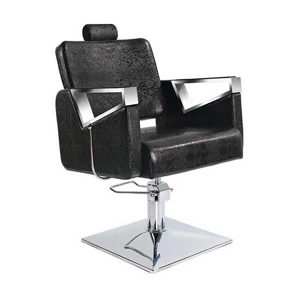 all purpose hydraulic salon chair